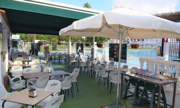 Alquiler a largo plazo - Bungalow - Torrevieja - Los Balcones - Lago Jardin