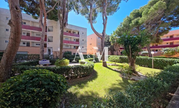 Alquiler a largo plazo - Apartamento / piso - Torre de la Horadada - Mil Palmeras