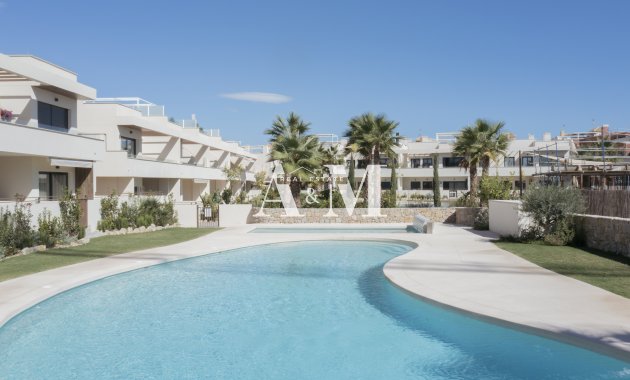 Obra nueva - high-bungalow - Torrevieja