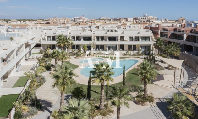 Obra nueva - high-bungalow - Torrevieja