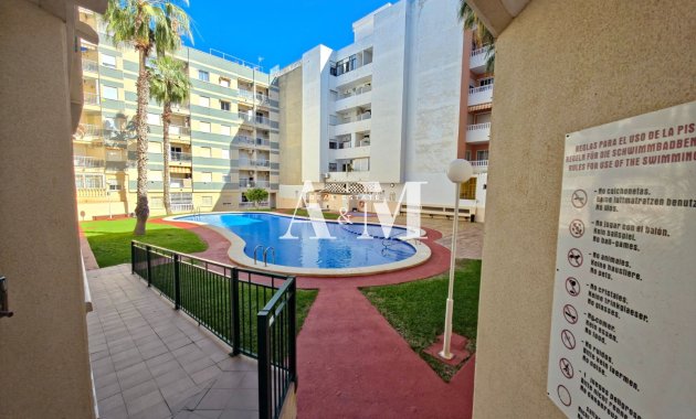 Location à long terme - Appartement - Torrevieja - Playa del Cura