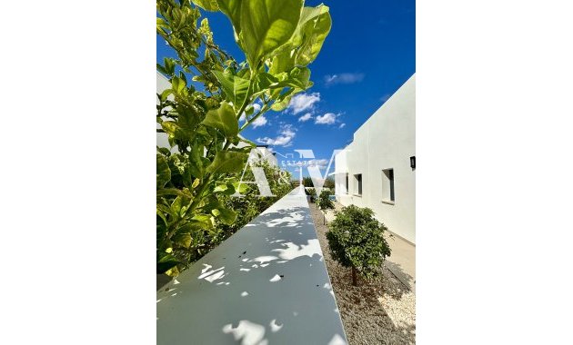 Obra nueva - detached - Benijofar