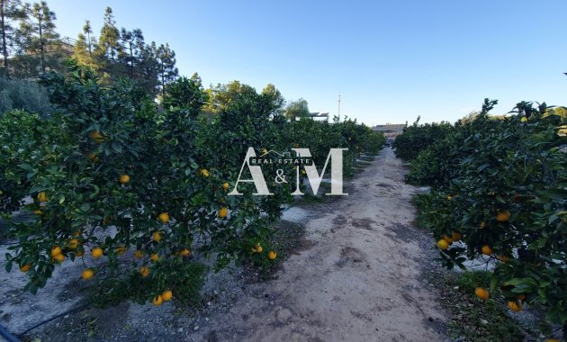 Long Term Rental - Bungalow - Orihuela