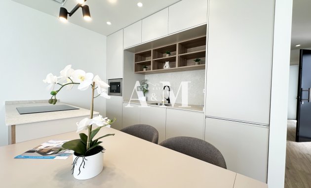 New Build - detached - Torre de la Horadada