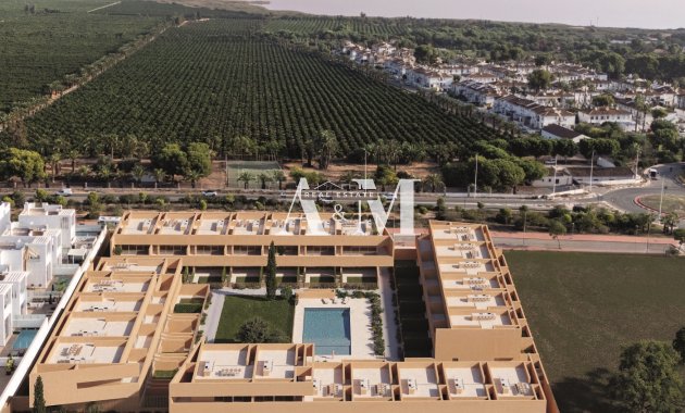 Новое здание - low-bungalow - Torrevieja