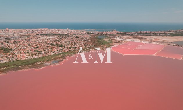 Новое здание - low-bungalow - Torrevieja