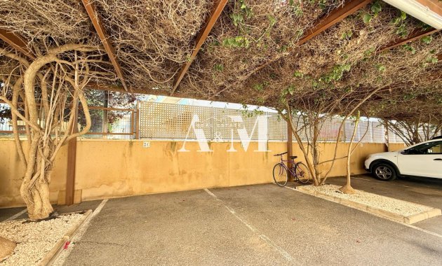 Long Term Rental - Apartment / flat - Cabo Roig