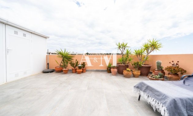 Long Term Rental - Chalet - San Fulgencio