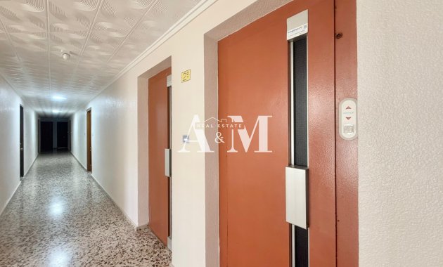 Alquiler a largo plazo - Apartamento / piso - Punta Prima