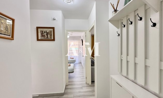 Alquiler a largo plazo - Apartamento / piso - Punta Prima