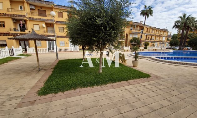 Alquiler a largo plazo - Apartamento / piso - Punta Prima