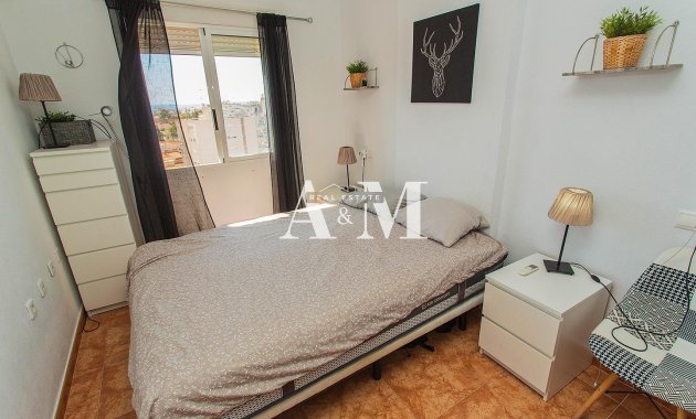 Long Term Rental - Apartment / flat - Torrevieja - Nueva Torrevieja - Aguas Nuevas