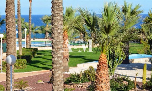 Long Term Rental - Apartment / flat - Cabo Roig