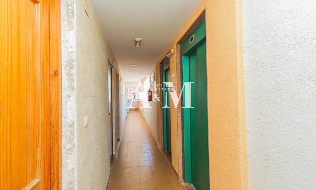 Long Term Rental - Apartment / flat - Torrevieja - Nueva Torrevieja - Aguas Nuevas