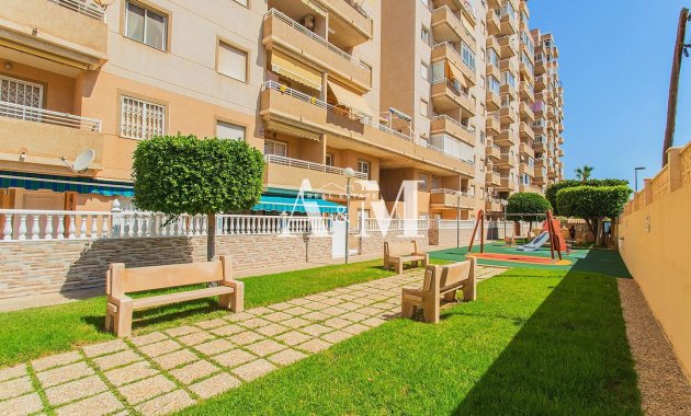 Long Term Rental - Apartment / flat - Torrevieja - Nueva Torrevieja - Aguas Nuevas