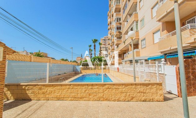 Long Term Rental - Apartment / flat - Torrevieja - Nueva Torrevieja - Aguas Nuevas