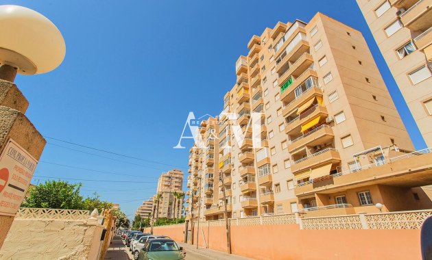 Long Term Rental - Apartment / flat - Torrevieja - Nueva Torrevieja - Aguas Nuevas