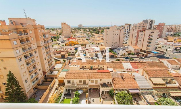 Long Term Rental - Apartment / flat - Torrevieja - Nueva Torrevieja - Aguas Nuevas