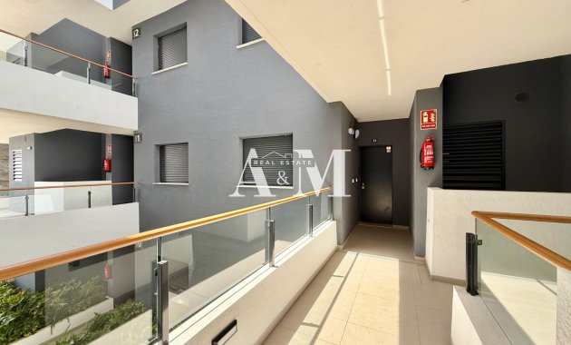 Long Term Rental - Apartment / flat - Torrevieja - Nueva Torrevieja - Aguas Nuevas