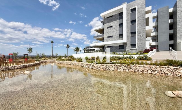 Long Term Rental - Apartment / flat - Torrevieja - Nueva Torrevieja - Aguas Nuevas