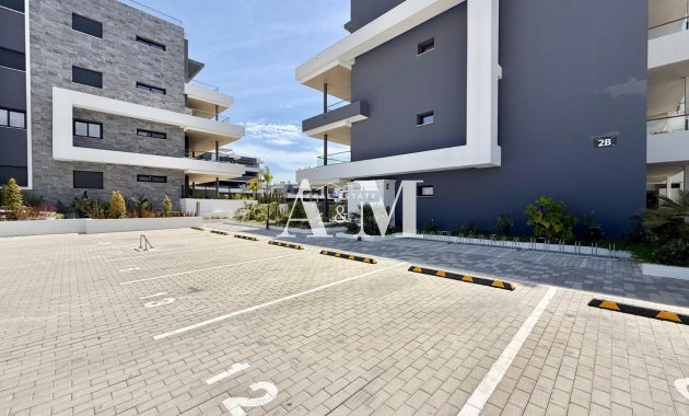Long Term Rental - Apartment / flat - Torrevieja - Nueva Torrevieja - Aguas Nuevas