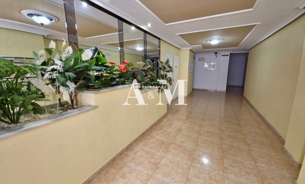 Long Term Rental - Apartment / flat - Torrevieja - Centro