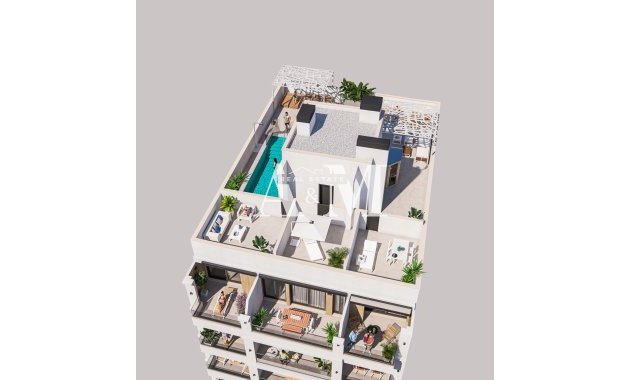 New Build - apartment - Torrevieja