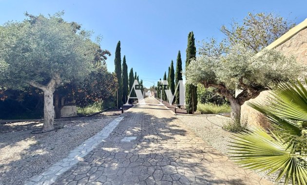 Long Term Rental - Villa - San Miguel de Salinas