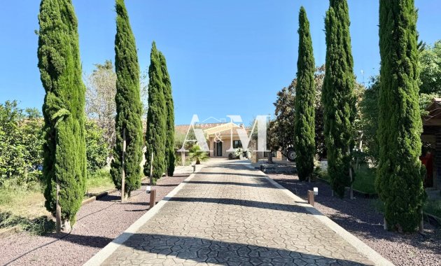 Long Term Rental - Villa - San Miguel de Salinas