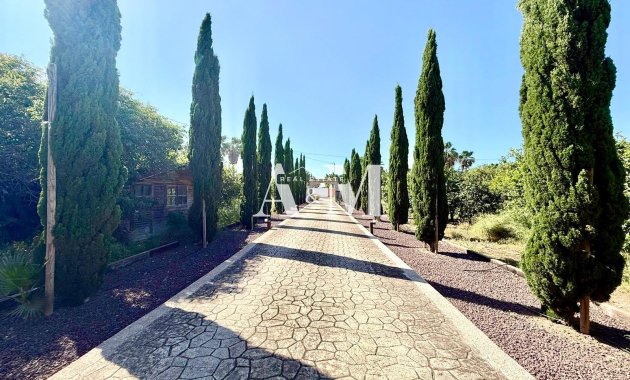 Long Term Rental - Villa - San Miguel de Salinas