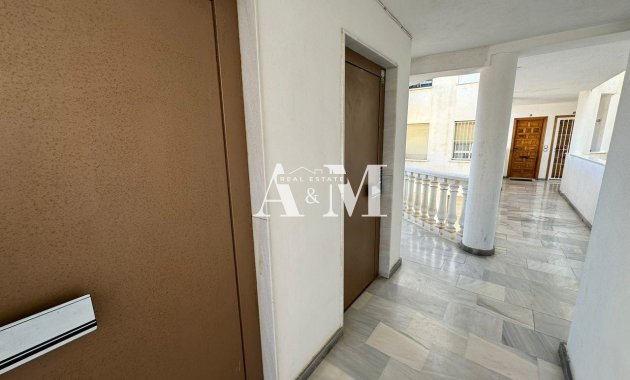Alquiler a largo plazo - Apartamento / piso - Torrevieja - Centro