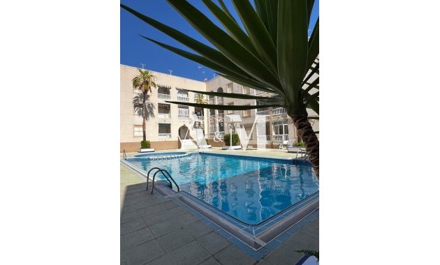 Long Term Rental - Apartment / flat - Torrevieja - Playa de los Locos