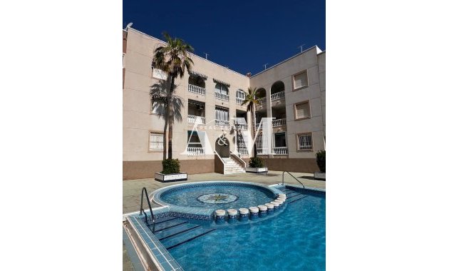 Long Term Rental - Apartment / flat - Torrevieja - Playa de los Locos