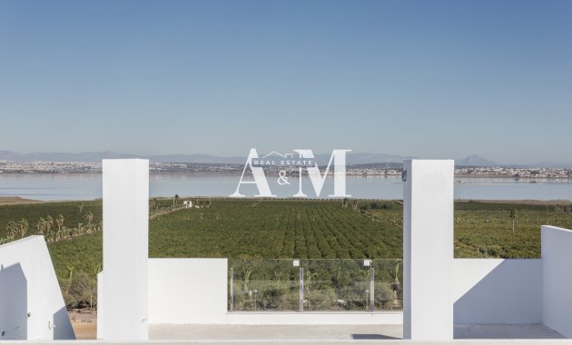 Новое здание - terraced - Torrevieja