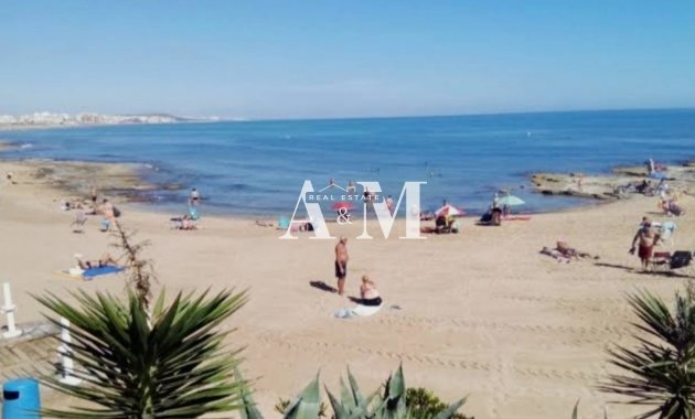 Long Term Rental - Apartment / flat - Torrevieja - Nueva Torrevieja - Aguas Nuevas