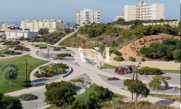 Long Term Rental - Apartment / flat - Torrevieja - Nueva Torrevieja - Aguas Nuevas