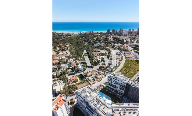 Новое здание - Rород - Dehesa de Campoamor