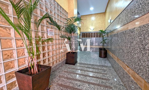 Long Term Rental - Apartment / flat - Torrevieja - Playa del Cura