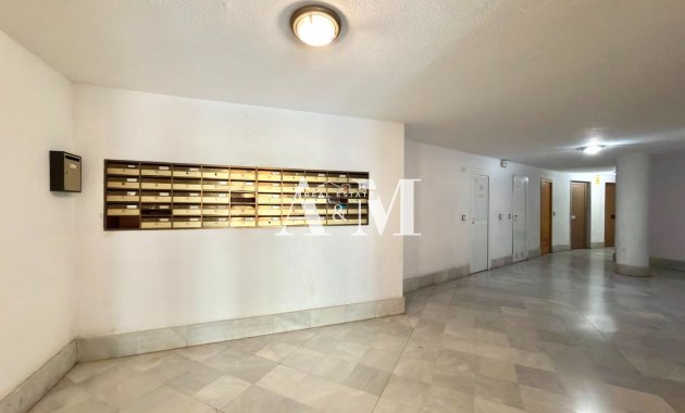 Long Term Rental - Apartment / flat - Torrevieja - Centro