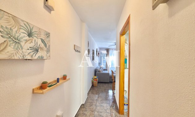Long Term Rental - Apartment / flat - Torrevieja - El Acequión - Los Náufragos