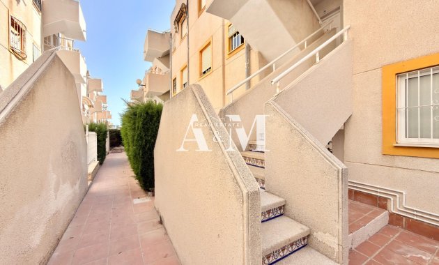 Long Term Rental - Apartment / flat - Torrevieja - Nueva Torrevieja 