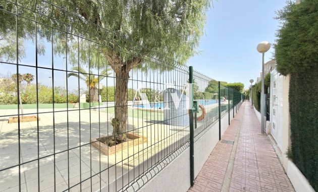 Long Term Rental - Apartment / flat - Torrevieja - Nueva Torrevieja 