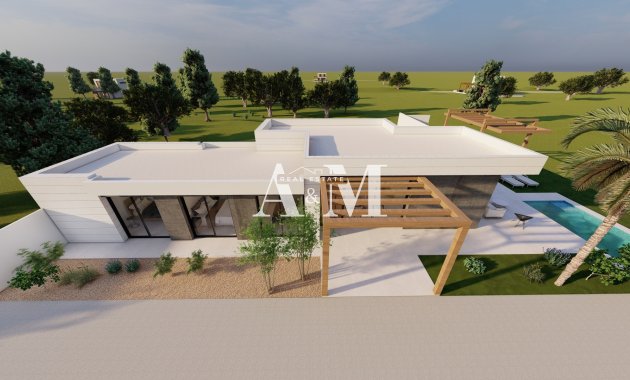 Obra nueva - detached - Pilar de la Horadada