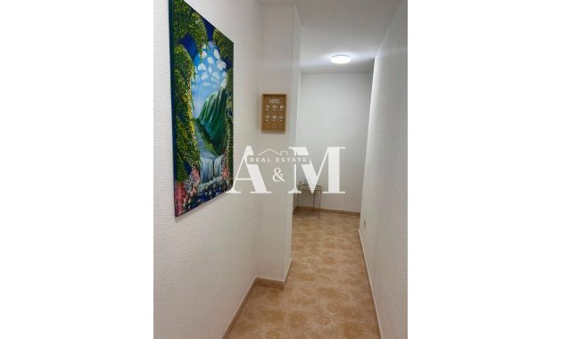 Alquiler a largo plazo - Apartamento / piso - Torrevieja - El Acequión - Los Náufragos