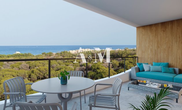 New Build - Penthouse - Guardamar del Segura